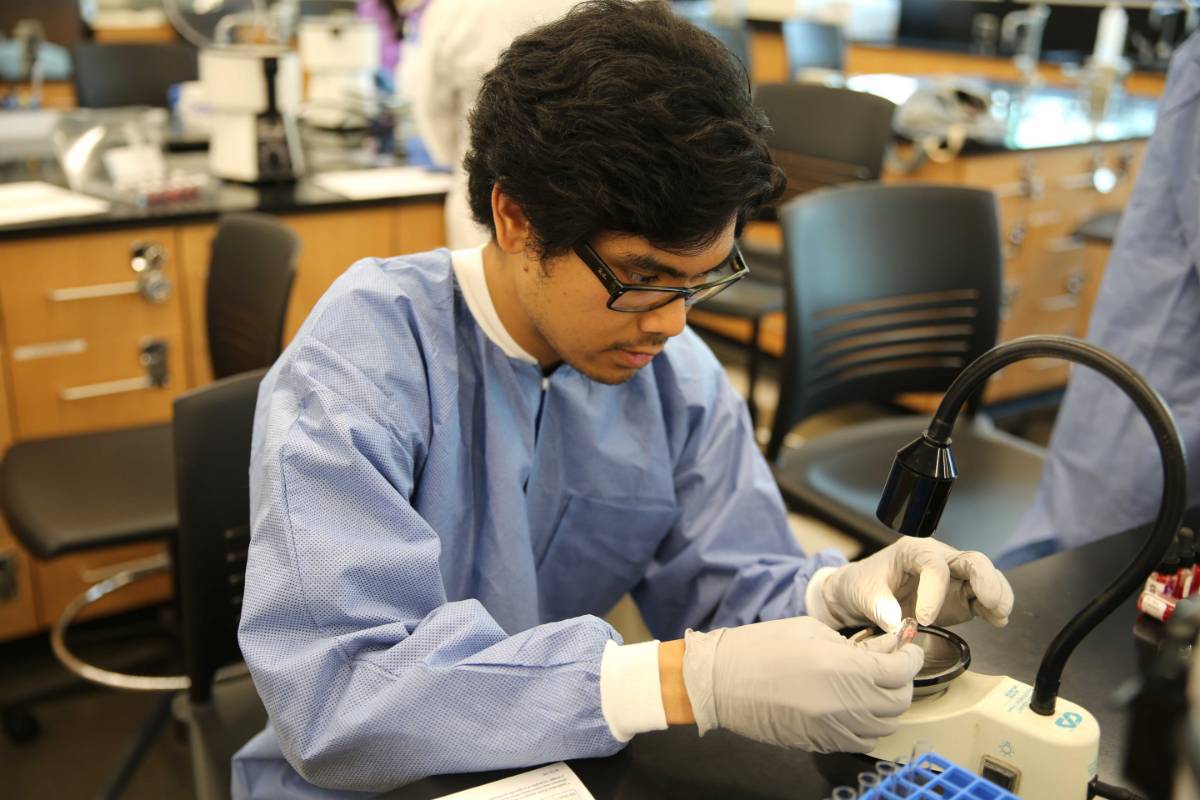 Photo of MLT Student Performing Lab Testing