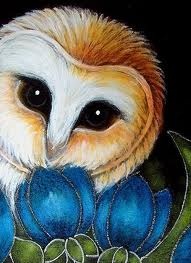 An image of an owl