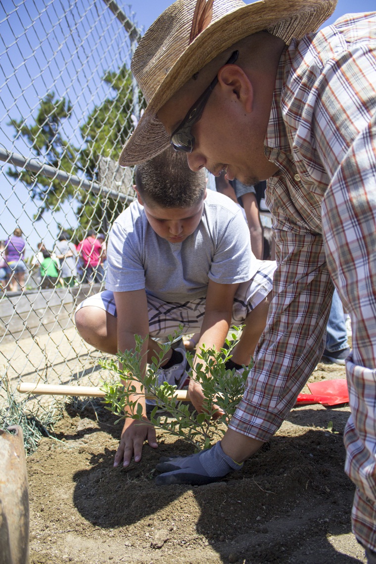 Eduardo Munguia helps students plant