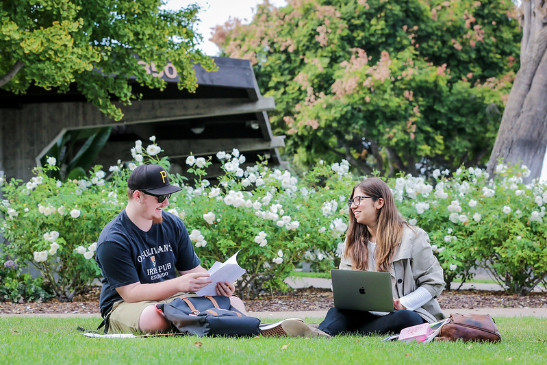 Two students discussing and sitting on grass