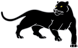 SWC jaguar