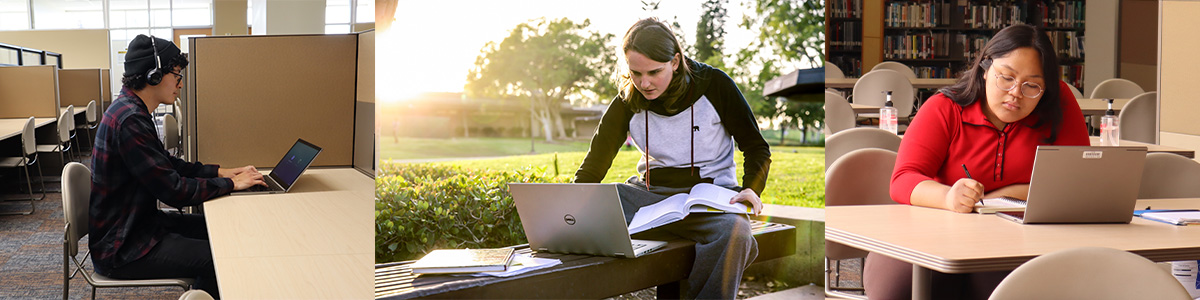 students studying