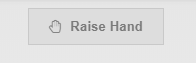 Workshop button titled "raise hand"