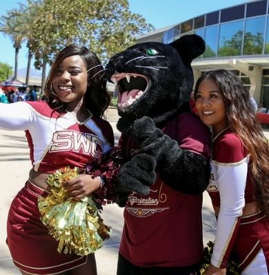 Johnny Jaguar and Cheerleaders Johnny Jaguar and Cheerleaders