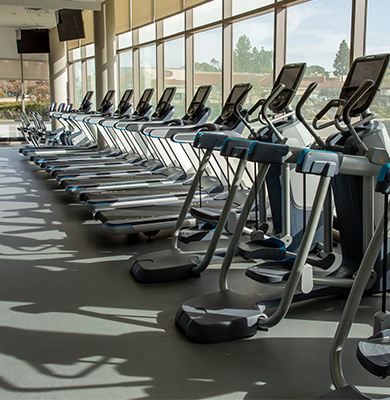 Photo of treadmills and cardio equipment.